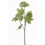 Fleur de boule de neige artificielle DEMI, vert, 60cm, Ø6-8cm