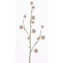 Ail ornemental artificiel EMRAH, crème, 80cm, Ø3-4,5cm