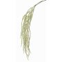 Branche d'amarante artificielle MARGARETE, crème, 105cm
