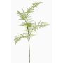 Branche d'asparagus plumosus artificielle HAYDON, vert, 85cm