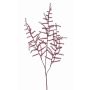 Fausse branche d'asparagus acutifolius HANS, rouge foncé, 70cm