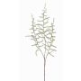 Fausse branche d'asparagus acutifolius JOCHEN, vert, 70cm
