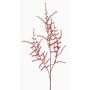 Fausse branche d'asparagus acutifolius JOCHEN, orange, 70cm