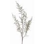 Fausse branche d'asparagus acutifolius JOCHEN, vert, 130cm
