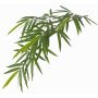 Branche de bambou artificiel LENNI, crossdoor, 80cm