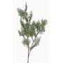 Branche de cyprès artificiel FROWIN, vert, 80cm