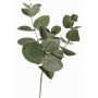 Branche d'eucalyptus artificielle JAMAL, vert-gris, 25cm