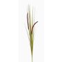 Vulpin artificiel JILL, piquet, panicules, vert-violet, 90cm