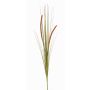 Vulpin artificiel JILL, piquet, panicules, vert-rouge, 90cm