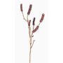 Branche de callistemon artificiel SIRIUS avec fruits, rouge foncé, 60cm