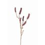 Branche de callistemon artificiel HEMES avec fruits, rouge foncé, 60cm