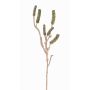 Branche de callistemon artificiel SIRIUS avec fruits, vert, 60cm