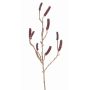Branche de callistemon artificiel BRODY avec fruits, rouge foncé, 90cm