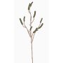 Branche de callistemon artificiel SIRIUS avec fruits, vert, 90cm