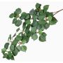 Branche de peuplier artificiel ADRIEL, vert, 70cm