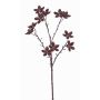 Branche de badianier de Chine artificielle DELANO avec fruits, brun, 60cm