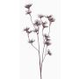 Carotte sauvage artificielle DORIAN, brun, 65cm, Ø4cm