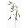 Branche de plante de pois artificielle KLAUS, vert, 90cm