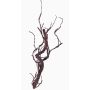 Branche de chêne liège artificielle JACE, brun-rouge, 45cm