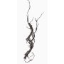 Branche de chêne liège artificielle JACE, brun-gris, 55cm