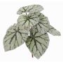 Bégonia artificiel KATRICE sur piquet, vert-gris, 25cm