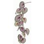 Branche de Bégonia artificiel KATRICE, violet-vert, 110cm