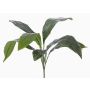 Aspidistra artificiel VASCO sur piquet, 55cm