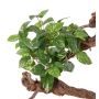 Faux pothos NAEL, piquet, ignifuge, vert-blanc, 50cm