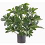 Schefflera synthétique LUKAS en pot décoratif, vert, 55cm