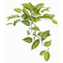 Feuilles d'orchidées Vanille Planifolia artificielles CHARIS, piquet, vert-jaune, 45cm