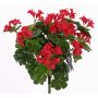 Géranium artificiel BERENIKE sur piquet, crossdoor, rouge, 40cm, Ø5-8cm