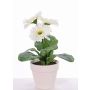 Gerbera artificiel SIMONE en pot décoratif, blanc, 30cm, Ø9,5cm