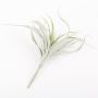 Tillandsia Stricta en plastique ADELE sur piquet, vert-gris, 25cm, Ø20cm