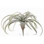 Tillandsia Cites en plastique ANELIA sur piquet, vert-gris, 30cm