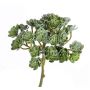 Echeveria artificiel BLAIR sur piquet, vert, 20cm, Ø10cm