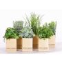 Mélange d'herbes artificielles CHUCK en pot de papier, 6 pcs, vert, 15-25cm