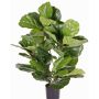 Ficus Lyrata artificiel RHYS, crossdoor, vert, 70cm