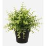 Eucalyptus synthétique YANIS, vert, 20cm