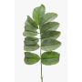 Branche de melianthus artificielle SATORU, vert, 65cm