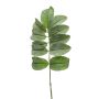 Branche de melianthus artificielle SATORU, vert, 65cm