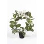 Jasmin de Madagascar artificiel ALTAY, blanc, 40cm