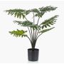 Philodendron Selloum artificiel FRIO, 60cm