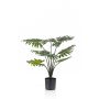Philodendron Selloum artificiel FRIO, 80cm