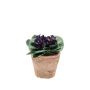 Violette africaine artificielle MOLGAS en pot en terre cuite, violet, 20cm