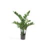 Plante artificielle Zamioculcas SIMANO, 70cm