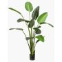 Plante artificielle Strelitzia PAVLOVA, vert, 230cm