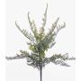 Fausse Fougère Polystichum INDIVAR sur piquet, vert, 30cm