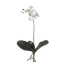 Orchidée Phalaenopsis en soie FAO sur piquet, blanc, 45cm