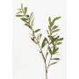 Branche d'olivier artificiel PARKER avec fruits, 80cm