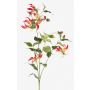 Gloriosa artificiel CELESTE, jaune rose, 120cm